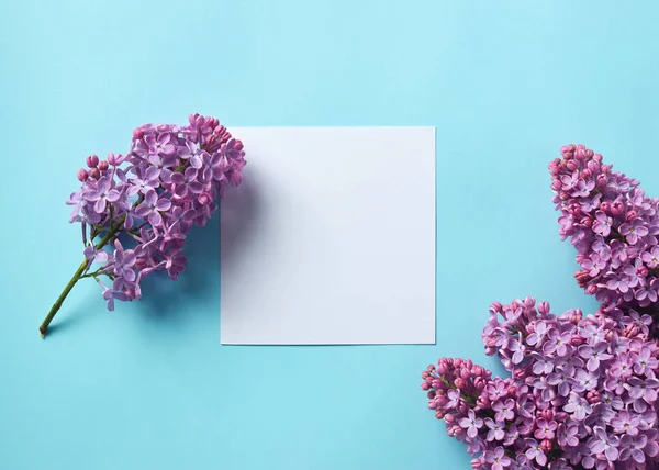 紫色丁香枝 空白纸卡音符在蓝色背景上 复制空间 — 图库照片