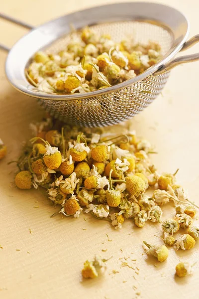 Dried Chamomile Flowers Tea Strainer Next Matricaria Chamomilla — Stock Photo, Image