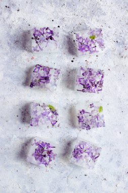 Ice cubes with lilac flowers. Edible flower ice cubes.  clipart
