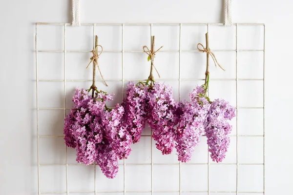 Spring Purple Lilac Blooming Branches Hanging Wall Hanging Bouquets Upside — Stock Photo, Image