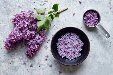 Masadaki bir kasede suyun üzerinde yüzen taze leylak çiçekleri. Mor bahar leylak çiçekleri.