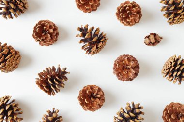 Beyaz arkaplan üzerinde çam kozalakları düz yatıyordu. 