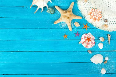 Sahildeki deniz yıldızı ve deniz kabukları ve arka plan olarak okyanus. Yaz plajı. Deniz kabukları.