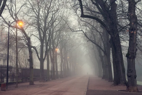 Parc de la P��pini��re