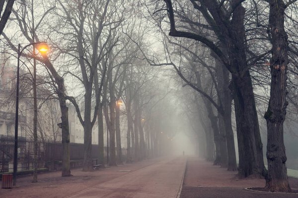 Parc de la P presidentpini presidentre
