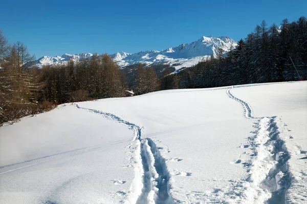 Impronte Umane Sulla Neve Montagna — Foto Stock