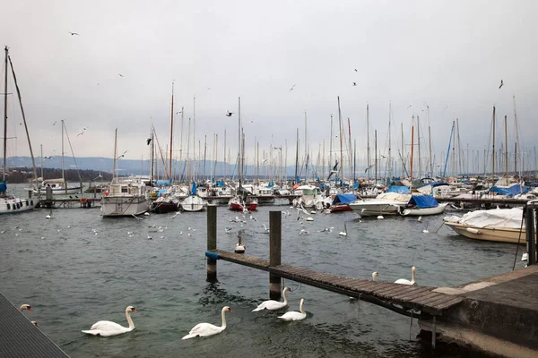 Jacht Pier Genève Bewolkte Dag — Stockfoto