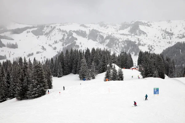 köknar ağaçlı kayak bölgesi