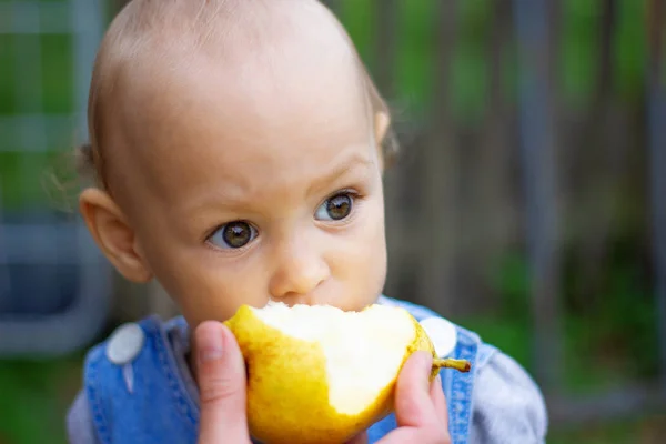 a small child bites a pear that is held in his hand. close-up look into the frame