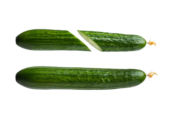 Two fresh green cucumbers. one cucumber is cut, the second is not cut. isolated on white background — Stock Photo, Image