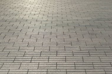  Arkaplan dokusu dikdörtgen asfalt yaprakları perspektifte