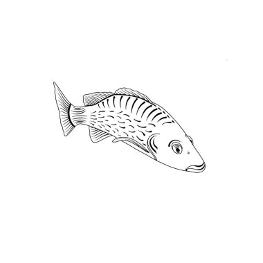 Çocuklar ve yetişkinler için boyama kitabı. Yaratıcılık ve rahatlama için bir şablon. Bir denizyıldızının izole vektör çizimi. Doodle tarzı dövmeler. Şirin Çizgi Balık. Henna Mendy.