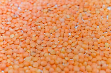 Mercimek (Lens culinaris veya Lens esculenta), baklagiller (Felidae) familyasından bir baklagil türü. Mercek şeklindeki tohumlarıyla bilinen yıllık gür bir bitkidir..