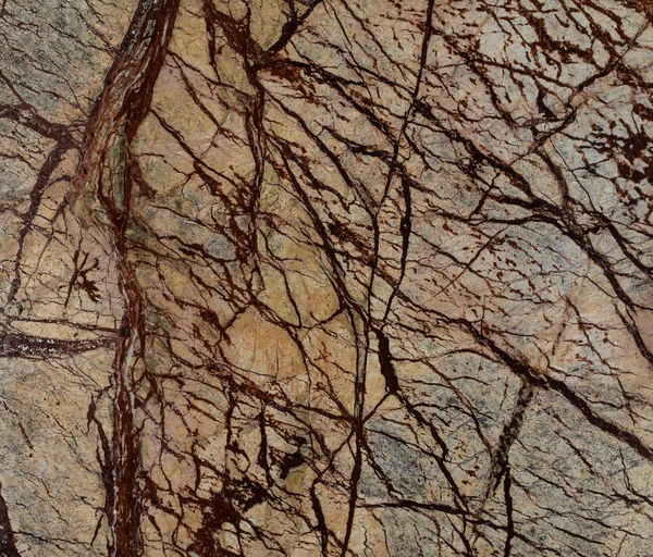 Natural Rain Forest Brown marble texture — Stock Photo, Image