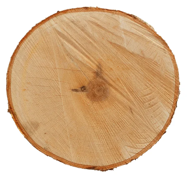 Birch Tree Cross Cut Wood Texture Veins — Stock Photo, Image