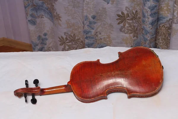 Broken antique red violin for restoration with damage