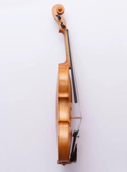 Nice Golden Violin White Background Copyspace You Text — 스톡 사진