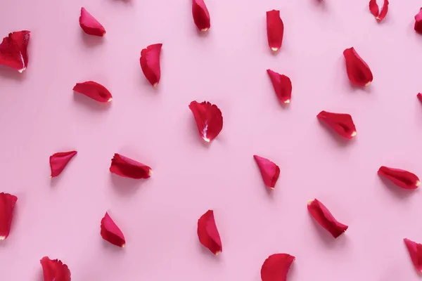 Fondo Del Día San Valentín Patrón Pétalos Rosas Rojas Sobre — Foto de Stock