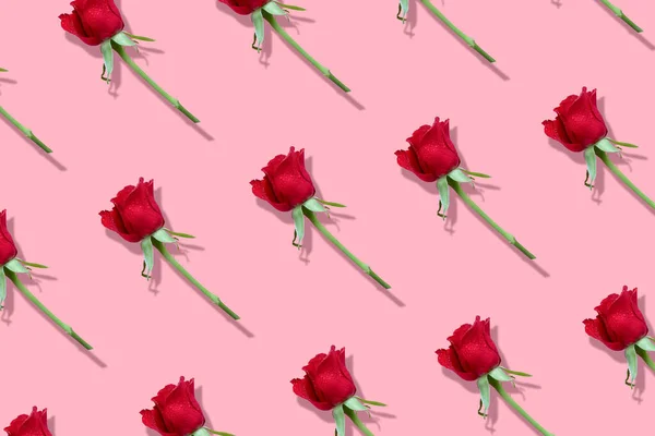 Rote Rosen mit markantem Schattenmuster auf rosa Hintergrund — Stockfoto
