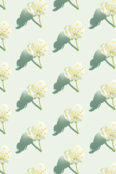 cherry blossoms pattern on mint background