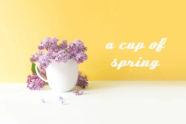 White cup with lilac flowers on a yellow background front view — Stock Photo, Image