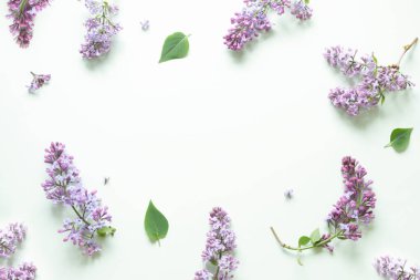 Nane yeşili arkaplanda leylak deseni