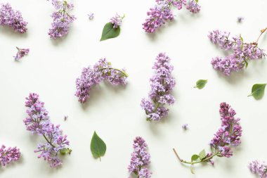 Nane yeşili arkaplanda leylak deseni