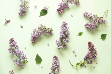 Nane yeşili arkaplanda leylak deseni