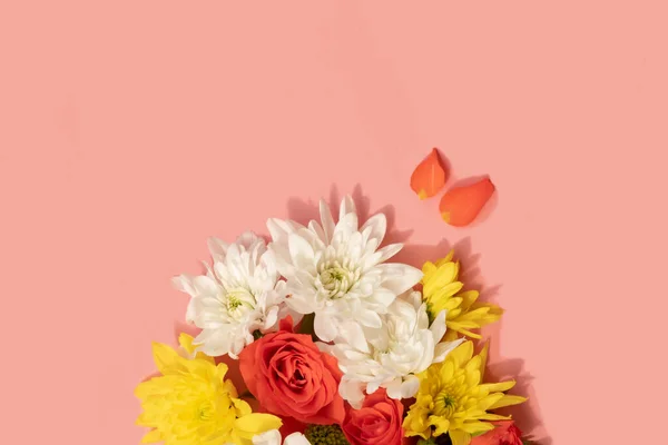 편평 한 형태의 국화와 장미 꽃들 이 분홍색 배경에 무리지어 있다 — 스톡 사진