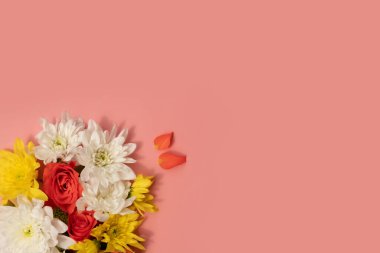 Mercan gülleri, beyaz ve sarı kasımpatılar.