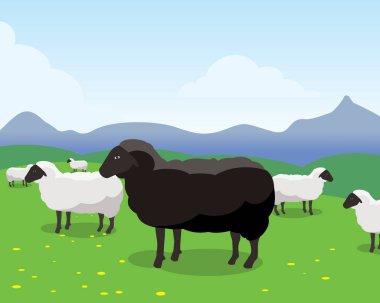 sheep in the field, vector illustration