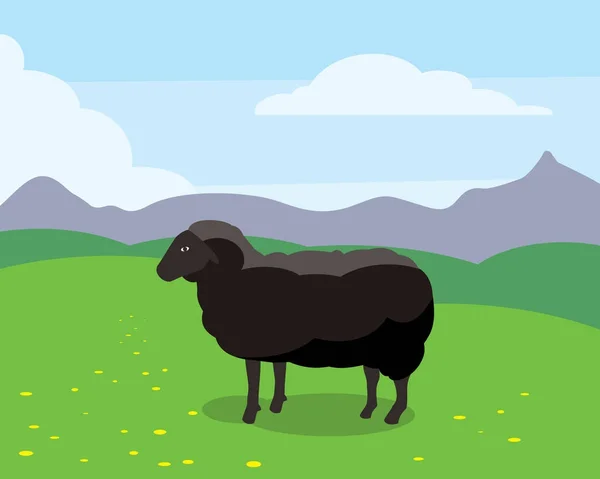 Овцы Ферме Векторной Иллюстрации Дизайн — стоковый вектор