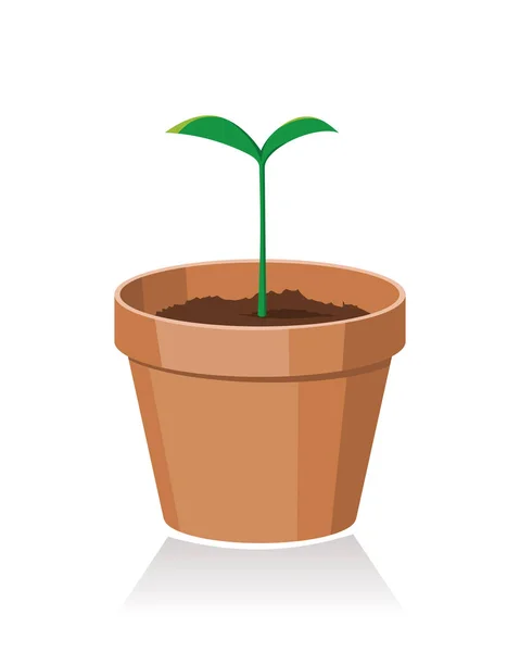 Planta Verde Vaso Ilustração Vetorial —  Vetores de Stock