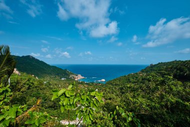 Tayland adası ve okyanusun güzel manzarası