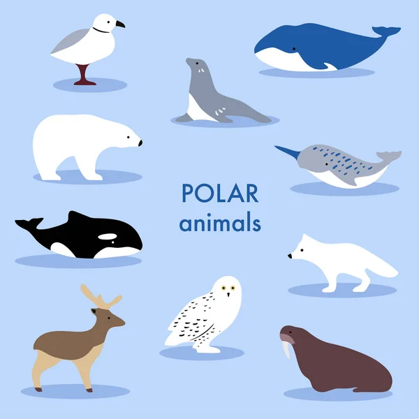 Colección de animales árticos y mamíferos marinos. Conjunto de lindos personajes e iconos aislados de dibujos animados. Ballena, narval, oso polar, ciervo del norte . — Vector de stock