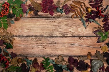 Ahşap arka planda sonbahar yaprakları