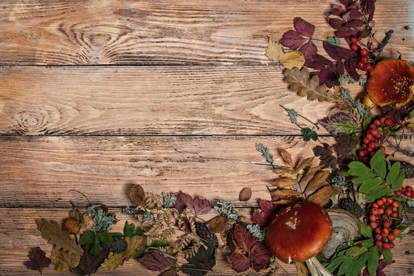 Autumn leaves on wood background — Stock Photo, Image
