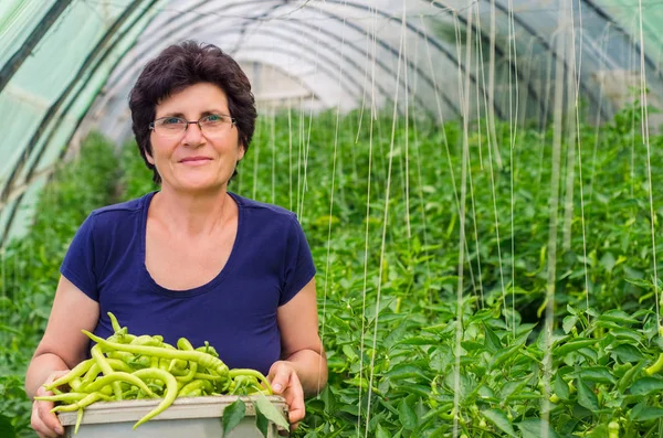 Mujer sosteniendo un cubo con pimientos verdes — Foto de Stock