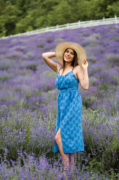 Circondato da profumo di lavanda — Foto Stock