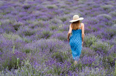 Lavanta alanda yürüyüş güzel genç şık giyimli kadın,