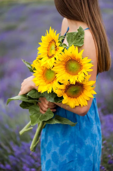 Žena držící kytice slunečnice uprostřed pole levandule — Stock fotografie