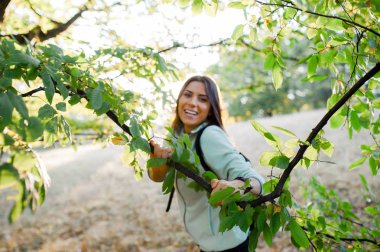 Doğada yürüyüşe