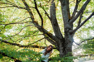 Enerjik genç kadın bir ağaca tırmandı