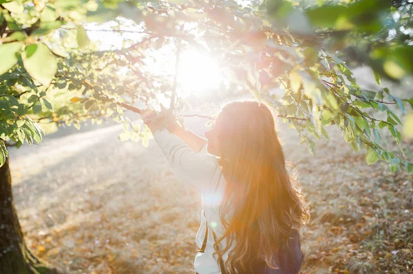 暖かい夕日の光の女 — ストック写真