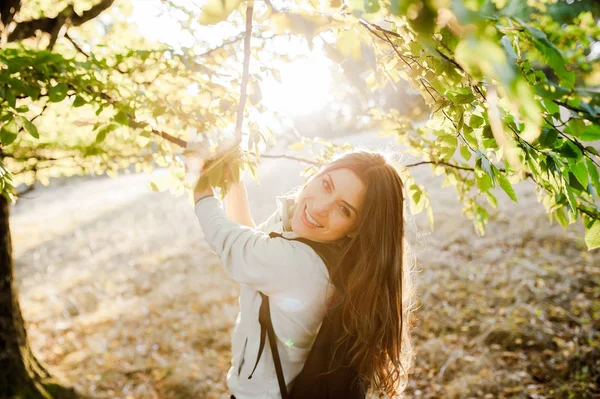 Al atardecer en la naturaleza —  Fotos de Stock