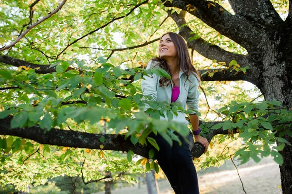 Donna in uno scenario autunnale nella foresta arrampicata su un albero — Foto Stock