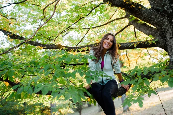 Nella foresta al tramonto, salito su un albero . — Foto Stock