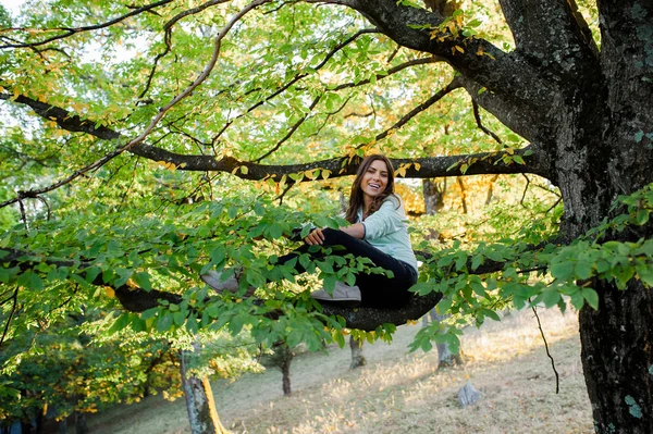 Женщина залезла на дерево, сидя расслабленной на ветке — стоковое фото