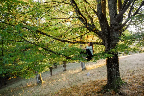Nő egy esküvodhöz ősszel az erdőben, a naplemente, felmászott egy fa — Stock Fotó