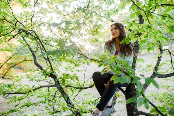 Jonge Energieke Vrouw Een Boom Het Bos Klimmen Zoek Gelukkig — Stockfoto